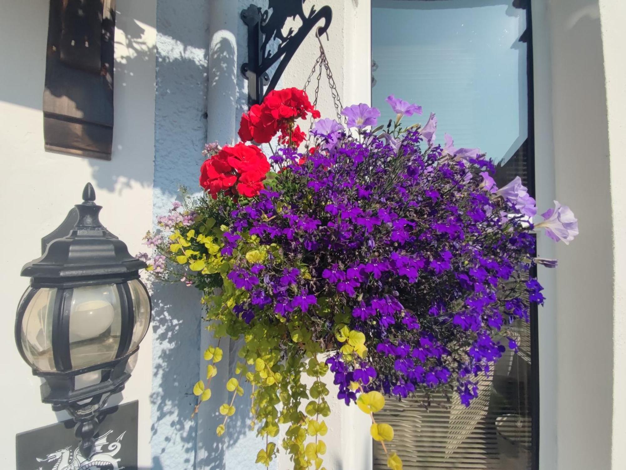 فندق The Rosedene لاندودنو المظهر الخارجي الصورة